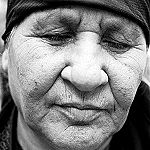 Die Fr&uuml;chte des Baumes mitten im Garten