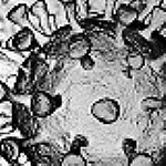 Nein zur COVID19-Impfpflicht � f�r freie Impfentscheidung!