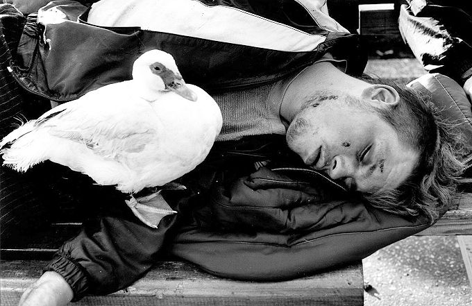 Meine Zeit - Meine Welt