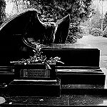 Die Liebe h&ouml;ret nimmer auf